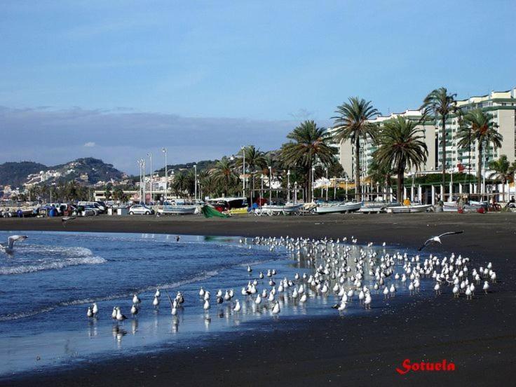 Apartamento El Dorado Cerca Del Mar Málaga Esterno foto